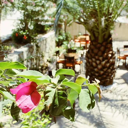 Bed & Breakfast Albergo Cesme 3*